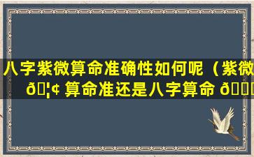 八字紫微算命准确性如何呢（紫微 🦢 算命准还是八字算命 💐 准）